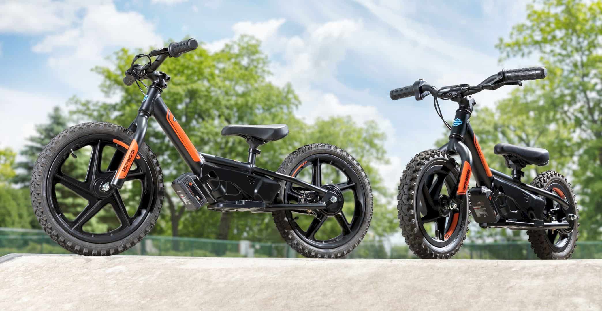 Electric Balance Bikes Harley Davidson USA 1