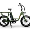 RadRunner Electric Utility Bike