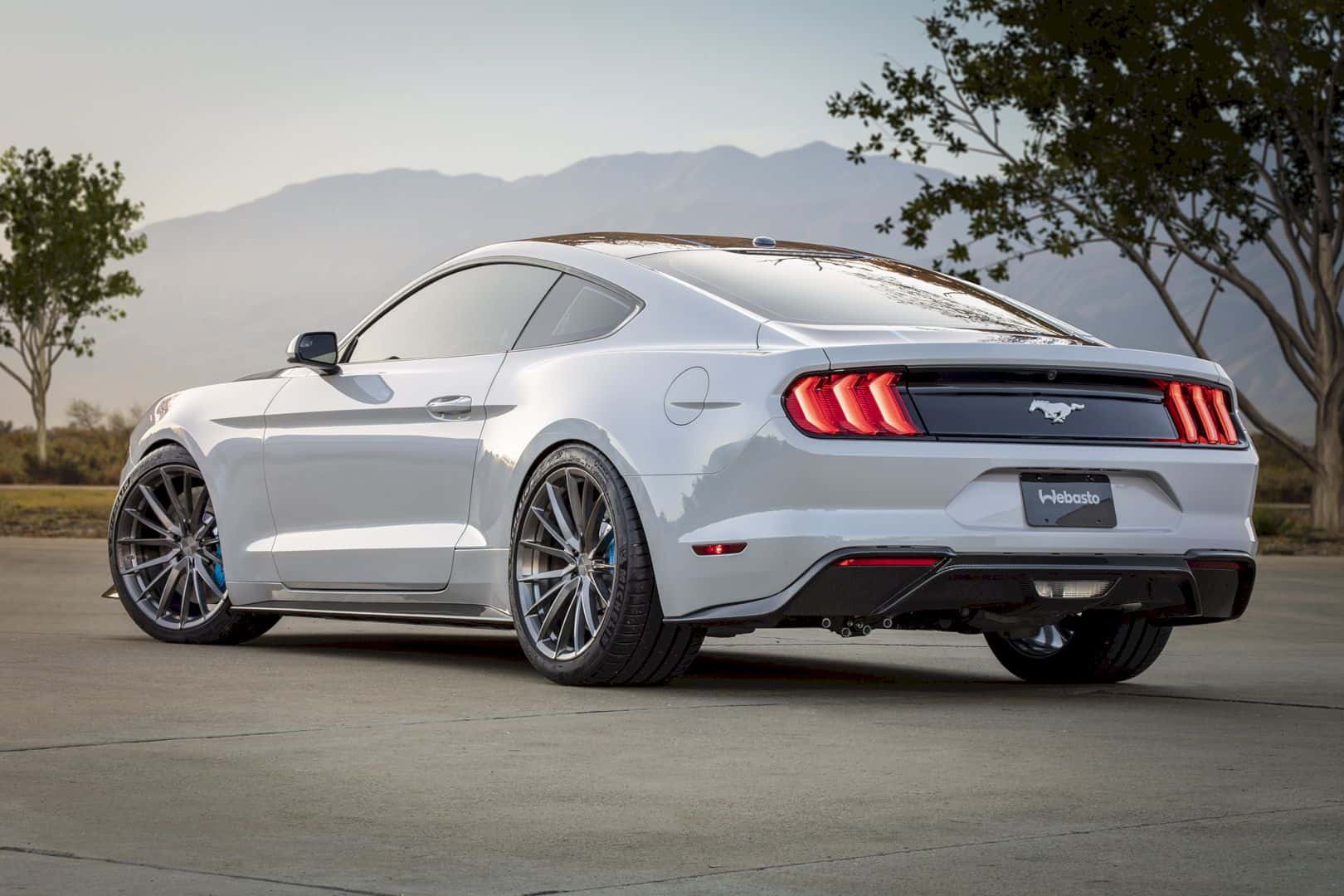 Ford Mustang Lithium 7