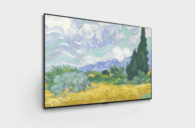 LG G1 65 Inch OLED65G1PUA (2)