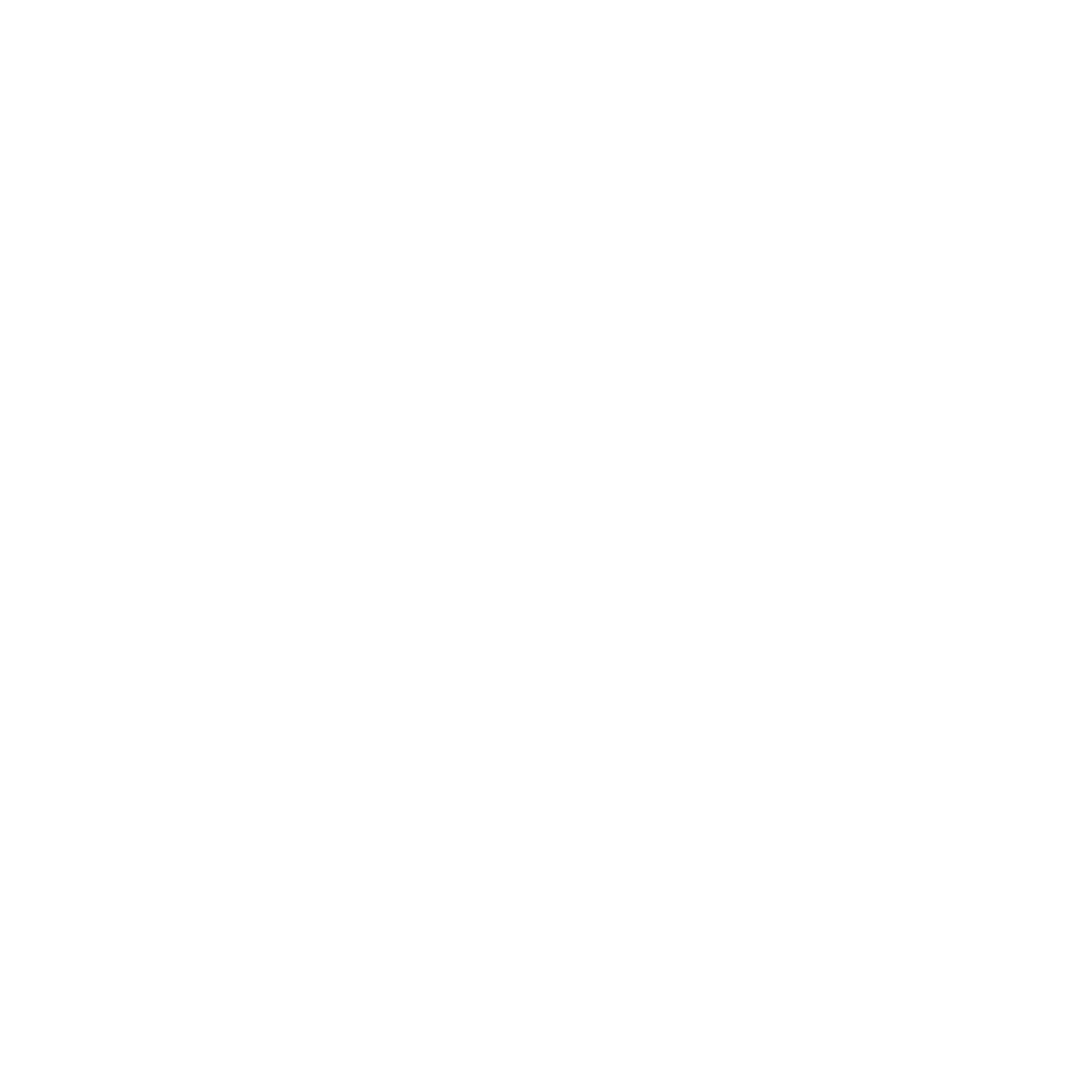 Leisurian Logo White